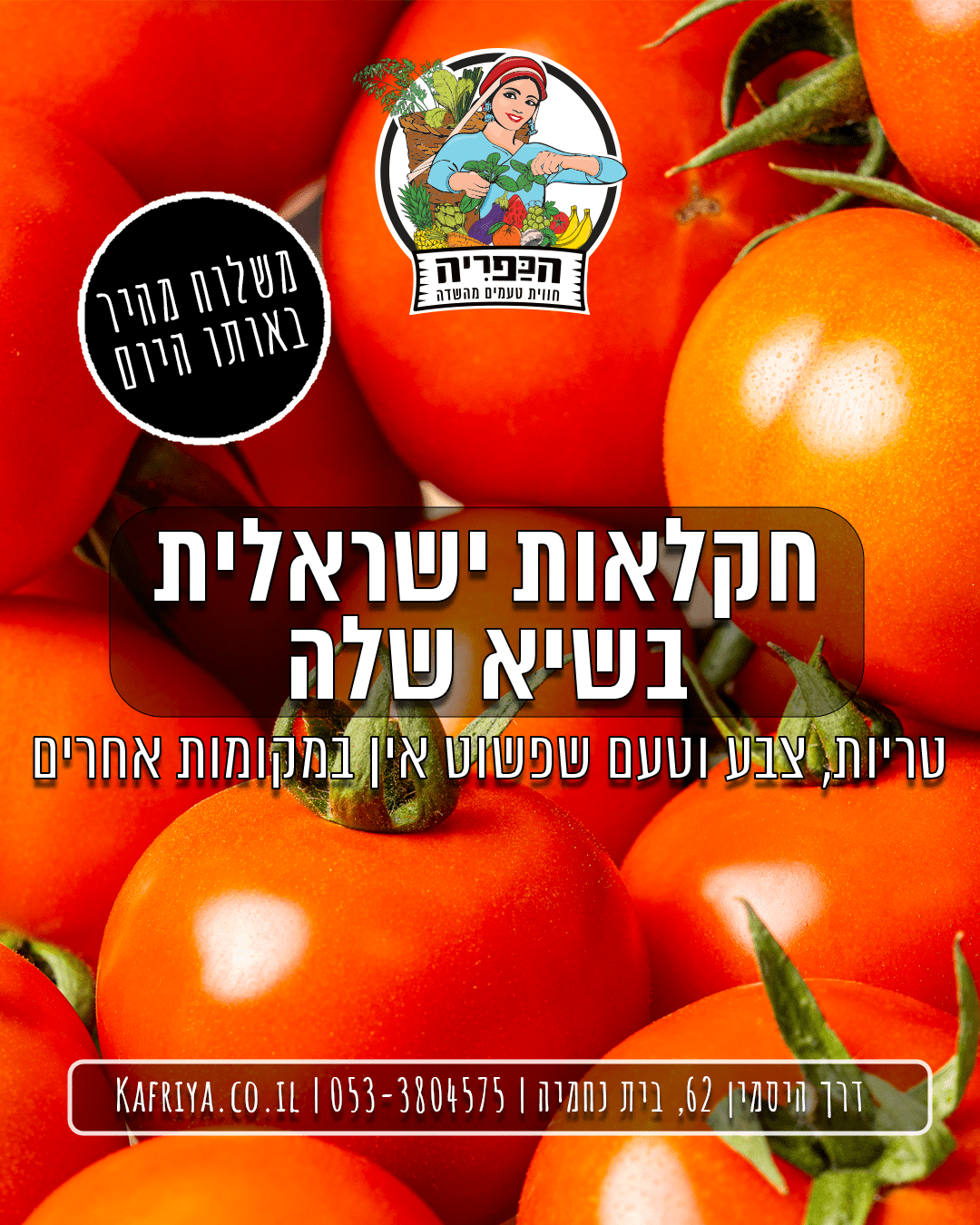 tomato big - feed